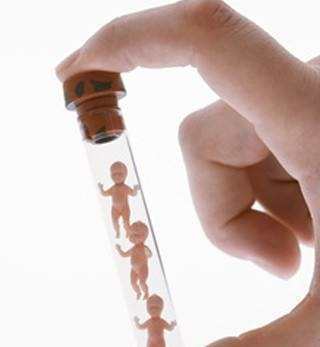胚胎培养